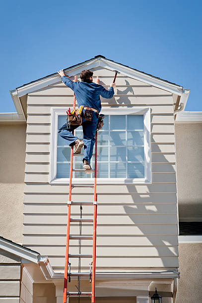 Best Hoarding Cleanup  in Nashvle, IL